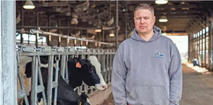  ?? JIM VONDRUSKA/REUTERS ?? Illinois dairy farmer Brent Pollard is keeping a calf he bought from Wisconsin in isolation for 21 days amid bird flu concerns.