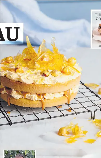 Gorgeous Gateau Pressreader