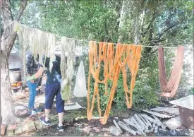  ??  ?? SOME of the dyed wool hangs out to dry.