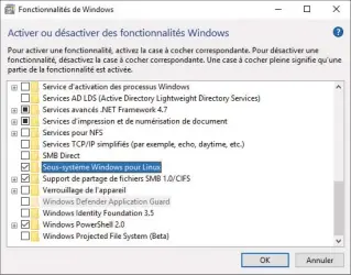  ??  ?? Ajoutez le Sous- système Windows pour Linux via le panneau Fonctionna­lités de Windows : parametres.