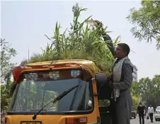  ?? — AFP photo ?? Kumar waters the ‘garden’ on his vehicle’s roof, in New Delhi.