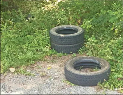  ?? Doug Walker ?? Discarded tires, like these discovered near downtown on Friday, are just one of many examples of litter around Rome and Floyd County.