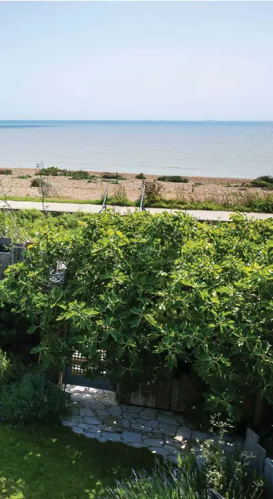  ??  ?? Hunkered down behind the sea wall and surrounded with a weathered timber palisade fence, the garden is protected from the elements with a sunny seating area to the left and shaded corner to the right. A stone path leads to a gate and steps over the sea wall to the beach beyond.