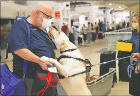  ?? (AP/Jorge Saenz) ?? Dr. Rubinstein gets a greeting from a fellow American passenger’s dog, named Dumas, as people prepare April 23 to board a flight to Miami from the Silvio Pettirossi airport in Luque, on the outskirts of Asuncion, Paraguay.