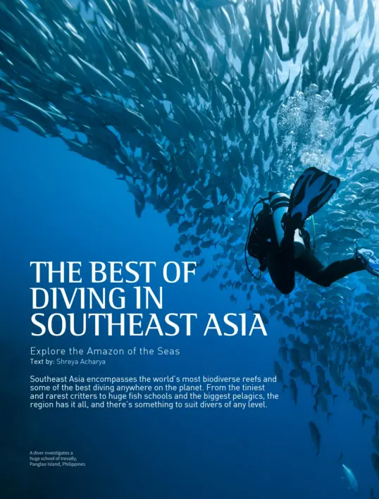  ??  ?? A diver investigat­es a huge school of trevally, Panglao Island, Philippine­s