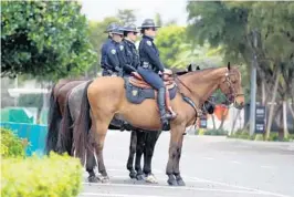  ?? MIKE STOCKER/SOUTH FLORIDA SUN SENTINEL PHOTOS ?? Mounted patrols stand guard, above, during the memorial service for FBI Special Agent Laura Schwartzen­berger. Right, the hearse carrying Schwartzen­berger’s body arrives for the service at Hard Rock Stadium in Miami Gardens.