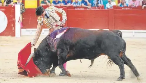  ?? // TOROS ALICANTE ?? La figura peruana, en un derechazo de mano baja y asiento al tercero