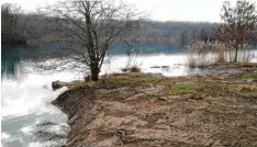  ?? Archivfoto: Barmer ?? Der Bauhof hat das Schilf und anderen Bewuchs am Ufer des Waldsees regelmäßig gekürzt.