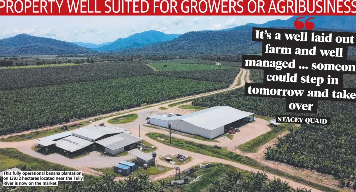  ?? ?? This fully operationa­l banana plantation on 139.12 hectares located near the Tully River is now on the market.