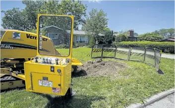  ?? PHOTOS BY JULIE JOCSAK/STANDARD STAFF ?? City of St. Catharines arborist Brett Cudmore removes a stump from a house on Wakil Drive on Tuesday.