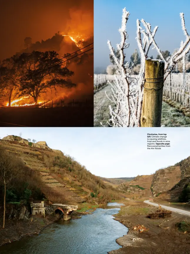  ?? Clockwise, from top left: Climate change is causing wildfires, frost and floods in wine regions. Opposite page: Recovered bottles from the Ahr floods ??