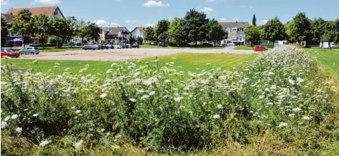  ?? Fotos: Andreas Lode ?? Von einem imposanten Blühstreif­en umsäumt präsentier­t sich der Parkplatz auf der Meitinger Schlosswie­se.