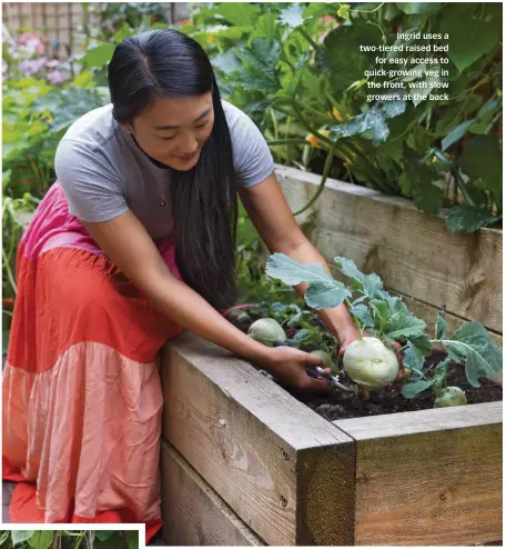  ?? ?? Ingrid uses a two-tiered raised bed for easy access to quick-growing veg in the front, with slow growers at the back