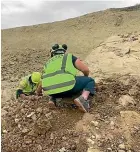  ??  ?? South Canterbury Museum staff at Ravensdown’s Kakahu limestone quarry, near Geraldine, examine a site where moa bone fragments have been discovered.