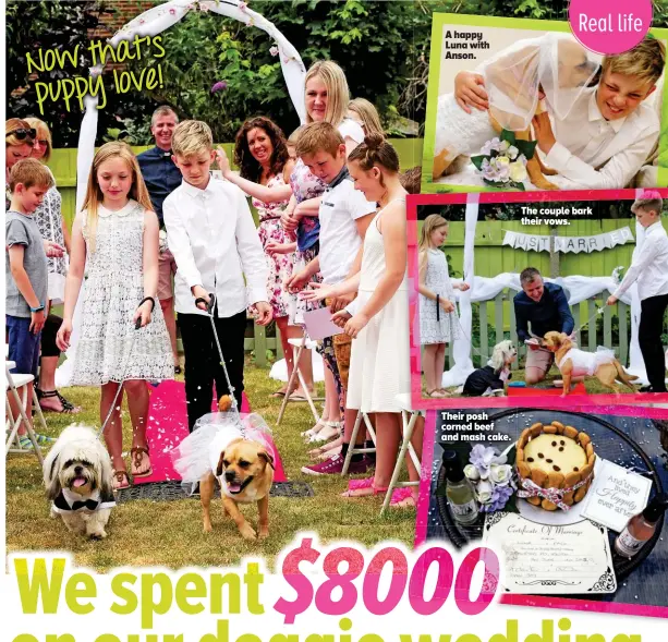  ??  ?? The couple bark their vows. Their posh corned beef and mash cake. A happy Luna with Anson.