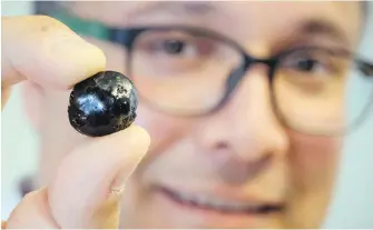  ??  ?? Engineerin­g professor Ian Gates holds a pebble of bitumen at the University of Calgary.