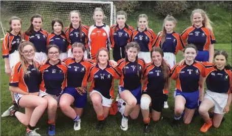  ??  ?? Coláiste Chill Mhantáin Junior Girls who had a very comprehens­ive win in their GAA fixture against St David’s of Greystones.