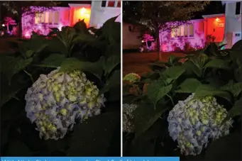  ??  ?? With Night Sight turned on, the Pixel 3a (left) is able to capture an incredible amount of colour with barely any light, but the Pixel 3 (right) makes the most of the Visual Core