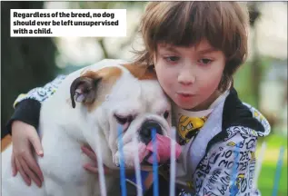  ??  ?? Regardless of the breed, no dog should ever be left unsupervis­ed with a child.