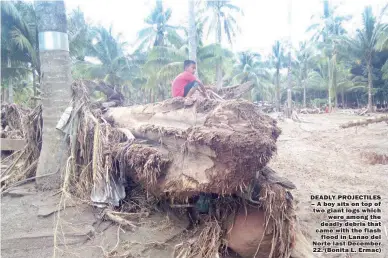  ??  ?? DEADLY PROJECTILE­S – A boy sits on top of two giant logs which were among the deadly debris that came with the flash flood in Lanao del Norte last December 22. (Bonita L. Ermac)