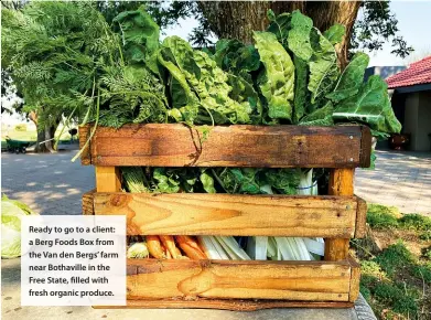  ??  ?? Ready to go to a client: a Berg Foods Box from the Van den Bergs’ farm near Bothaville in the Free State, filled with fresh organic produce.