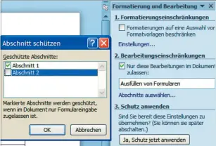  ??  ?? Über diese Abfrage- und Bestätigun­gsfenster schützen Sie einzelne Abschnitte Ihres Formulars.