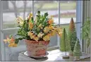  ?? COURTESY OF QUARTO PUBLISHING GROUP ?? Gold Charm holiday cactus, a Schlumberg­era species, is among the plants discussed in “Bloom: The Secrets of Growing Flowering Houseplant­s YearRound,” by Lisa Eldred Steinkopf.