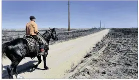  ?? MICHAEL SCHUMACHER / THE AMARILLO GLOBE NEWS ?? David Crockett rides the scorched prairie of Franklin Ranch searching for injured cattle last week after wildfires, driven by 50 mph winds, raced across Gray County. Texas ranchers are facing at least $21 million in agricultur­al damage from the...