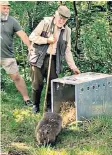  ??  ?? Back to nature: Robin Hanburyten­ison and his wife, Louella on Bodmin Moor. Inset: releasing the first beaver, Sigourney