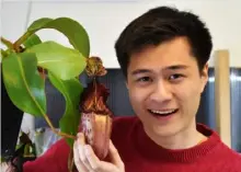  ?? Alvin Liu ?? University of Pittsburgh junior Alvin Liu is not afraid of a tropical pitcher plant.