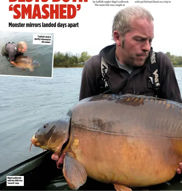  ??  ?? Nigel Ludbrook with his 68lb 8oz ‘record’ carp. Captain Jack is gently returned to the water.