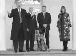  ?? CHIP SOMODEVILL­A/GETTY IMAGES FILE PHOTOGRAPH ?? U.S. President Donald Trump, Vice President Mike Pence, an unidentifi­ed dog handler and first lady Melania Trump pose for photograph­s with Conan, the U.S. military K9 that assisted in the raid that killed ISIS leader Abu Bakr al-Baghdadi, on Nov. 25 on the Rose Garden colonnade at the White House in Washington, D.C. The U.S. has suspended new deployment­s of nonmilitar­y working dogs overseas.