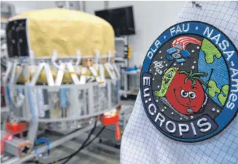  ??  ?? Tomaten im Weltall: Im Deutschen Zentrum für Luft-und Raumfahrt (DLR) wird an einem Forschungs­satelliten gearbeitet, der als fliegendes Gewächshau­s um die Erde kreisen soll.