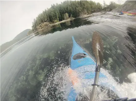  ?? — BLUE DOG KAYAKING ?? Blue Dog Kayaking is a great way to see Sidney, outside of its many bookstores.