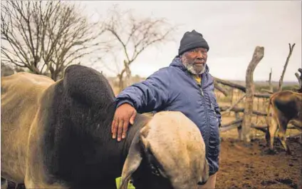  ?? Photos: Andy Mkosi ?? Beneficial partnershi­p: Lion Thethe (above), a livestock farmer on communal land in Welverdien­d, a village in Mpumalanga near the Kruger National Park, owns 60 cows. Lerato Mogane (below, right) is the coordinato­r for Conservati­on South Africa’s stewardshi­p programme.