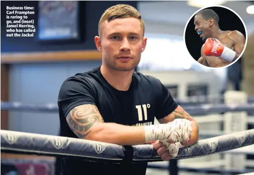  ??  ?? Business time: Carl Frampton is raring to go, and (inset) Jamel Herring, who has called out the Jackal