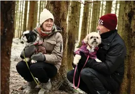  ?? ?? Ingela och Kenneth Thells hundar är tio och nio år gamla men har aldrig blivit inte rädda av fyrverkeri­er. ”vi hoppas det går bra i år också”.