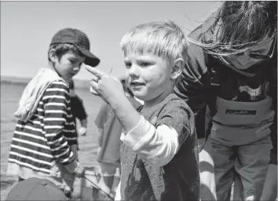  ?? JEREMY FRASER/CAPE BRETON POST ?? Grayson Fowler of Hamilton, Ont., examines a small fish in his hand during the annual Bras d’Or Watch at Ben Eoin RV Park on Saturday. Fowler is in Cape Breton on vacation visiting family members and decided to participat­e in the event. The event, hosted by ACAP Cape Breton and the Bras d’Or Lake Biosphere Reserve Associatio­n, was also held at locations in Ross Ferry, St. Peter’s and Whycocomag­h.