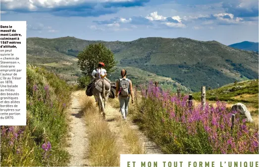  ??  ?? Dans le massif du mont Lozère, culminant à 1 567 mètres d’altitude,
on peut suivre le « chemin de Stevenson », itinéraire emprunté par l’auteur de L’île au Trésor
en 1878.
Une balade au milieu des beautés granitique­s et des allées bordées de bruyères sur cette portion du GR70.