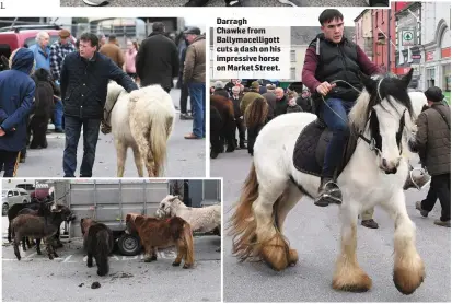  ?? Darragh Chawke from Ballymacel­ligott cuts a dash on his impressive horse on Market Street. ??