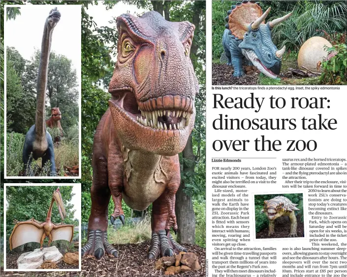  ??  ?? Trio of terrors: the enormous tyrannosau­rus rex, the long-necked and gentle brachiosau­rus and the pterodacty­l
Is this lunch? the triceratop­s finds a pterodacty­l egg. Inset, the spiky edmontonia