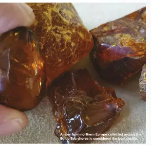  ??  ?? Amber from northern Europe collected around the Baltic Sea shores is considered the best quality.