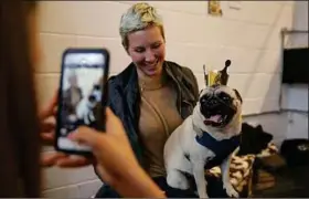  ??  ?? Des cafés célèbrent ces chiens aux grands yeux et à la mine renfrognée.