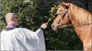  ?? PHOTO COURTESY OF AMY M. SCHWAB PHOTOGRAPH­Y ?? Washington Memorial Chapel Rector Father Tommy Thompson blesses a horse.