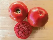  ?? Courtesy photo ?? The Rodeo Tomato in 2024 is the Rambler Hybrid, known for producing large fruit, just as the Thunderbir­d of 2023.