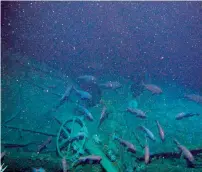  ?? AP ?? Fish swim around the helm of the Australian submarine HMAS AE1 off the coast of the Papua New Guinea island of New Britain. —