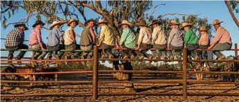  ?? PHOTOS: AL MABIN ?? THE GROWER: Mustering crew, Iffley Station, near Julia Creek, QLD.