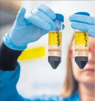  ??  ?? A researcher in a laboratory working on the Covid vaccine developed by Astrazenec­a