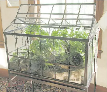  ?? LEE REICH/THE ASSOCIATED PRESS ?? The small amount of water that the plant leaves give off in the humid environmen­t of a Wardian case condenses on the glass and dribbles back to the roots.