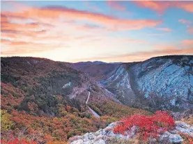  ?? / Foto: Roberto Valenti ?? Jesen obarva dolino Glinščice v barve ruja. Ponekod se je ruj že preveč razrasel.